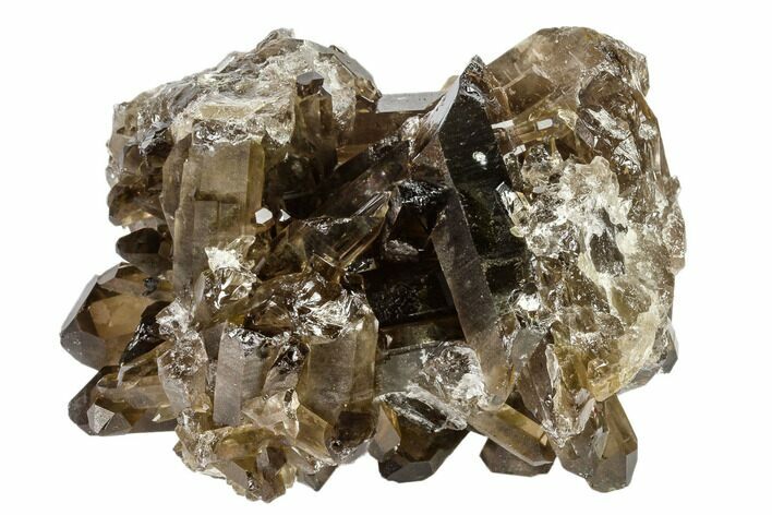 Dark Smoky Quartz Crystal Cluster - Brazil #119570